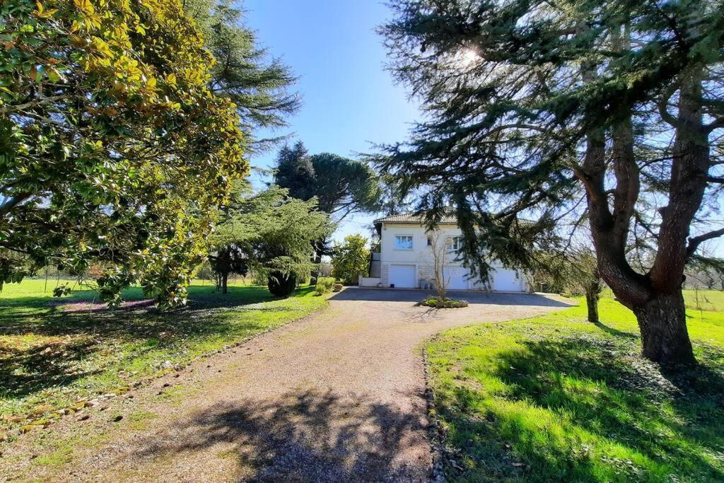 La Maison De Lili Colayrac-Saint-Cirq Exteriör bild