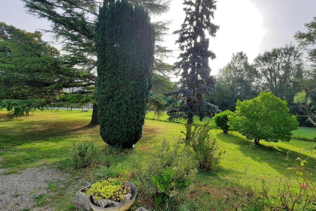 La Maison De Lili Colayrac-Saint-Cirq Exteriör bild
