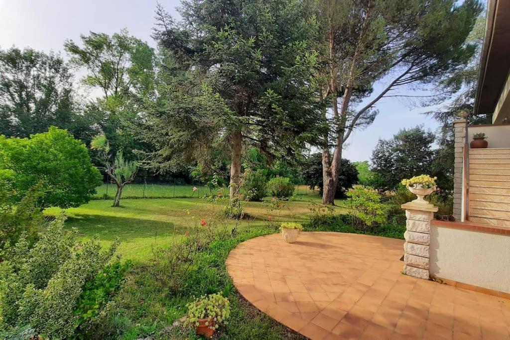 La Maison De Lili Colayrac-Saint-Cirq Exteriör bild
