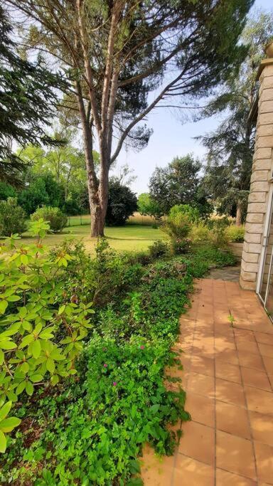 La Maison De Lili Colayrac-Saint-Cirq Exteriör bild