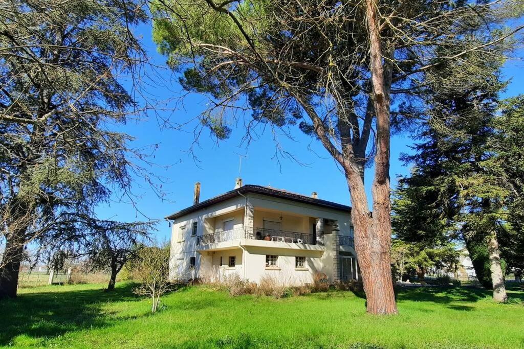 La Maison De Lili Colayrac-Saint-Cirq Exteriör bild