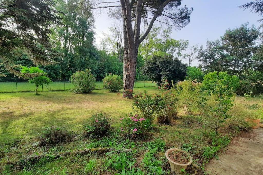 La Maison De Lili Colayrac-Saint-Cirq Exteriör bild