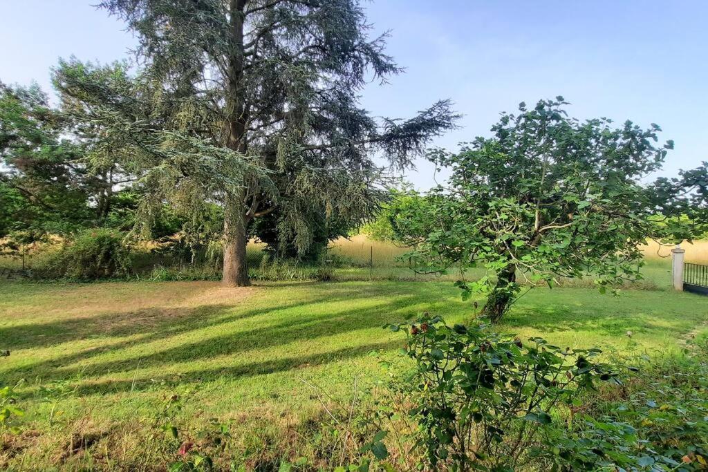 La Maison De Lili Colayrac-Saint-Cirq Exteriör bild