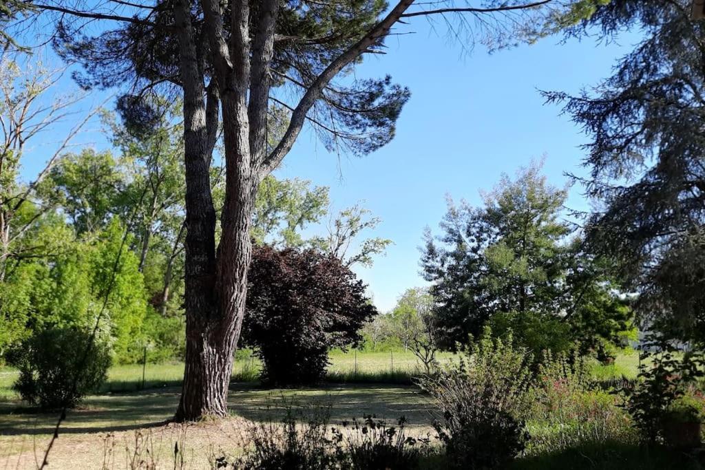 La Maison De Lili Colayrac-Saint-Cirq Exteriör bild